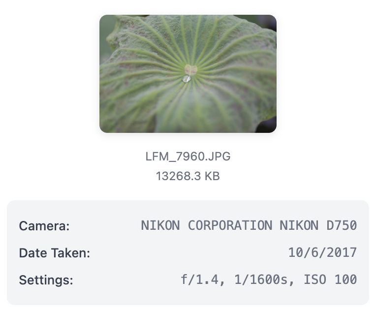 EXIF metadata viewer showing photo location and camera settings
